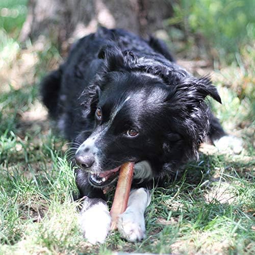 Brazilian Grass - Fed Beef Bully Sticks - Clairellas