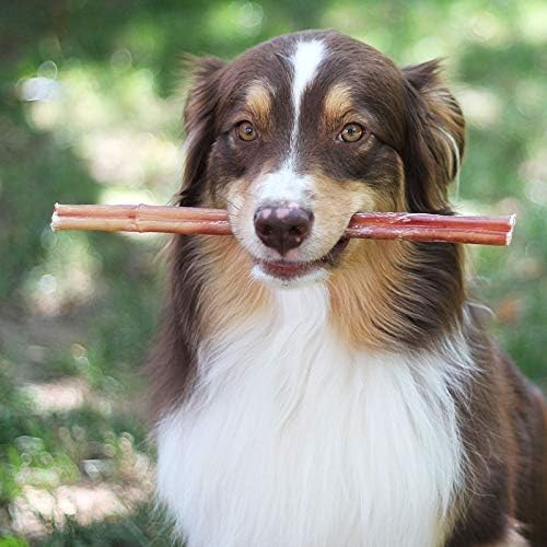 Brazilian Grass - Fed Beef Bully Sticks - Clairellas